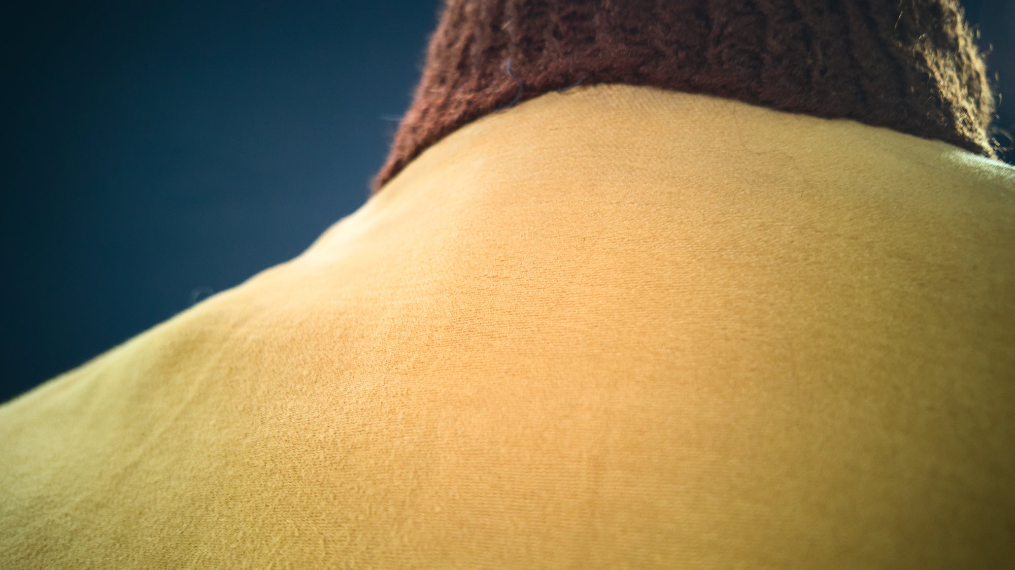 Vintage 1940s Czech Calfskin Windbreaker Flight Campus Leather Jacket “M”