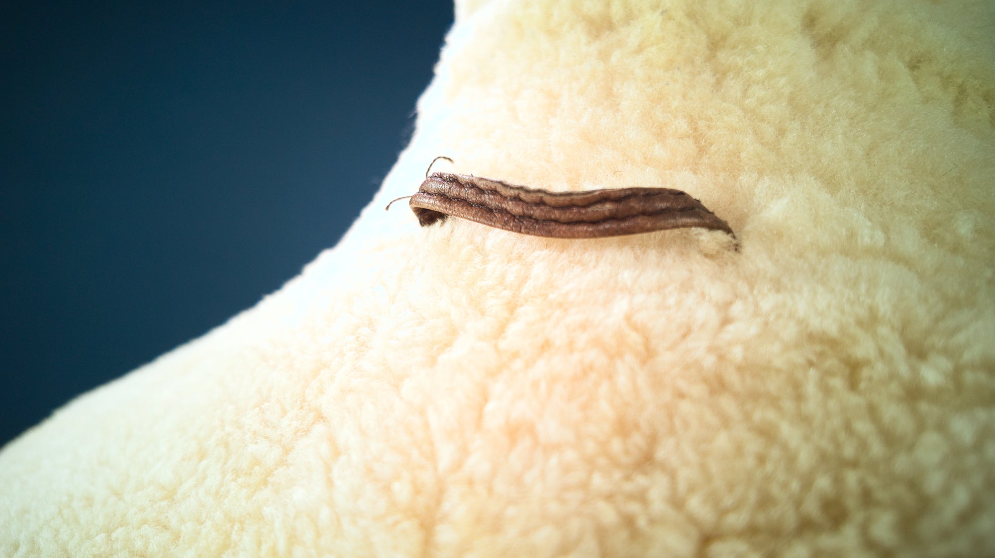 Vintage 1980s British Sheepskin Flight Aviator Bomber Leather Jacket “M”